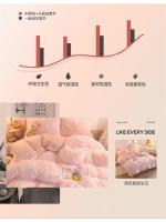 Conjunto de Cama de Terciopelo de Mink de Lujo para Otoño-Invierno Funda de Edredón de Reina, Sábanas, Almohadas Rosa de Alta Calidad - details 10