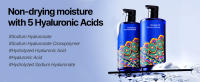 PKY Dancheong Body Lotions