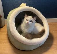 Cama cálida para dormir profundamente para gatos, cesta acogedora para mascotas, tumbona para gatitos, cojín para gatos, tienda de campaña Nesk muy suave, para perros pequeños esterilla, bolsa, cueva para gatos - details 7