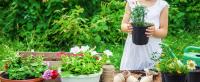 Macetas negras de plástico para guardería con orificios de drenaje, bandejas para té utilizadas para plantas, flores y verduras de jardinería - details 1