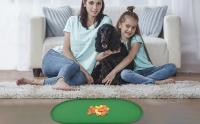 Alfombrilla impermeable para cuenco de comida para perros, silicona, antideslizante, alfombrilla para mascotas para perros y gatos - details 3