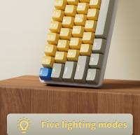 MUCAI-Teclado mecánico con cable USB para juegos, interruptores ópticos Gateron para escritorio, eje retroiluminado LED, 61 teclas - details 1