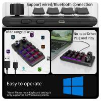 Teclado de programación ro personalizado, periférico con Bluetooth, RGB, 12 teclas, copia y pasta, Mini botón para juegos, mecánico, Hotswap, ropad - details 1