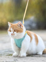 HOOPET-Chaleco con correa para gato, arnés ajustable de malla transpirable para exteriores, tirantes para el pecho, Collar impermeable - details 9