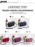 Bolso pequeño de madre nueva, bolso de hombro de mujer a la moda, bolso de mensajero para mediana edad. - details 1