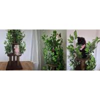 Árbol compacto y estable para gatos grandes, 4 niveles para escalar, rascar, descansar, hojas seguras, fácil montaje, duradero y apto para mascotas - details 10