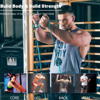 Conjunto de banda de resistencia de látex resistente para ejercicio elástico, banda de asistencia para dominadas, entrenamiento pesado, equipo de Fitness - details 4