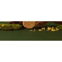 Guokai Osmanthus vela de aromaterapia dormitorio interior hogar larga duración avanzada romántica fragancia de baja temperatura femenina - details 2