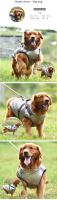 Chaqueta Impermeable para Perro Hecha en China Suministros para Mascotas Correas - details 2