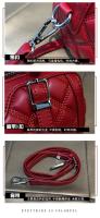 Bolso de almohada marca Hong Kong Boston bolso de mujer2025Nuevo Bolso pequeño para mamá de mediana edad, bolso de mensajero que combina con todo - details 18