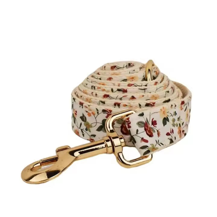 Conjunto Correa Perro, Collar con nombre personalizado Perros Pequeños y medianos, Placa Identificación personalizada, arnés - 1