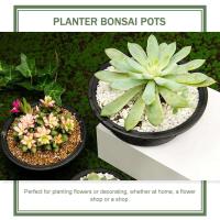 Flor de plástico ETA, plantas de interior, uso bonsái ETER, jugosa, 6 piezas. - details 6