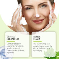Limpiador facial de ajenjo con temperatura normal diaria y espuma densa para un cuidado profundo de la piel - details 8