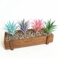 Plantas suculentas artificiales de PVC, Mini plantas artificiales flocadas realistas, bricolaje, decoración del hogar - details 4