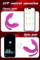 Leten Vibrador Estimulador de Clítoris y Vagina con Control Remoto Inalámbrico - details 1