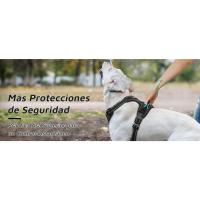 Correa de Perro Antipulla Media Chaleco Acolchado Estable con Anillos de Pecho y Espalda - details 8