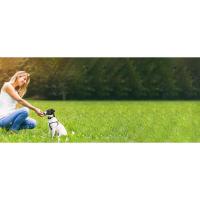 Wodondog Puerta Extensible para Bebés, Barrera de Seguridad para Niños y Perros, Barreras Retráctiles de 0-150 cm para Pasillos de Escaleras, Interior y - details 9