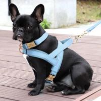 Collar de cuero para perros, juego de correas, chaleco de malla para mascotas, identificación personalizada, cables para perros pequeños, medianos y grandes - details 17
