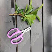 Tijeras de podar para jardinería ambidiestras de estilo clásico, hoja de acero inoxidable, tijeras de jardín multifunción de operación Manual, 1 ud. - details 1
