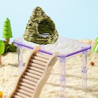 Plataforma transparente para hámster, soporte desmontable de altura ajustable para paisajismo, jaula decorativa para mascotas - details 3