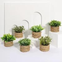 Plantas artificiales de Eulyptus, material de pila de hierba tejida de 11cm, decoración del hogar - details 11