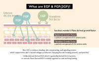 What are EGF & FGF (2GF)