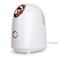Vaporizador de niebla caliente Nano iónico Facial, Sauna para el hogar, SPA, humidificador Facial, atomizador para mujeres y hombres, hidratante, desobstruye los poros - details 1