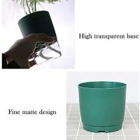 Vivero de doble capa verde, planta jugosa de alta calidad, plantación circular CA, jardinería ETA, decoración de escritorio - details 12