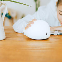 Luz Nocturna recargable por USB para niños, Animal de silicona suave, dibujos animados, Ribbot, perro Panda, ballena, Delfín, regalo para niños - details 12