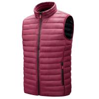 Chaleco para hombre, plumón, invierno 2024, calidad - details 9