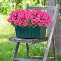 Nuevo Rojo flor de Begonia Artificial 36 Cm DIY flor falsa simulación plantas artificiales adornos de jardín - details 11