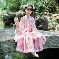 Hanfu de la dinastía Ming para niñas, traje antiguo chino súper inmortal para niños, vestido fino de estilo Tang, novedad de 2025 - details 0