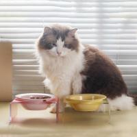 Cuenco de cerámica para gatos con protección Cervical UFO, cuenco redondo de 170ml para comida de gato, cuenco de agua de cerámica para mascotas, cuenco de comida lenta para cachorros/gatitos - details 7