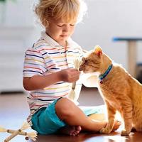 ATUBAN Cat Toys Silvervine Chew Stick,Kitten Treat Catnip Toy Kitty Natural Stuff with Catnip for Cleaning Teeth Indoor Dental - details 1
