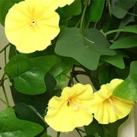 Flor artificial multicolor Morning Glory 12 tenedores 22 cabezas simulación hojas verdes flores falsas hojas verdes - details 6