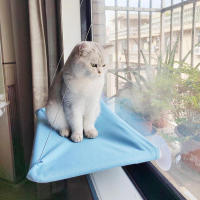 Cama de Gato Haa Soporte Cómodo para Asiento de Ventana Dorada Marco de Escalada para Gatito - details 11