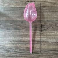 Globos de cristal, dispositivos de riego automático, inserciones de éter, bombillas para plantas de flores. - details 2