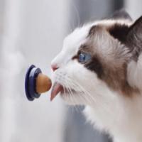 Bola de energía de azúcar para lamer gatos, juguete masticable para golosinas de caramelo, hierba gatera, tiempo de entretenimiento o tiempo de ocio - details 6