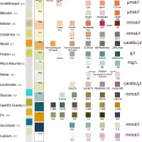 Papel de prueba de urinálisis URS-14, tiras reactivas de cetona, tiras de prueba de orina, leucocitos, nitrito, urobilinógeno, proteína pH 100 piezas - details 3
