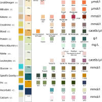 Papel de prueba de urinálisis URS-14, tiras reactivas de cetona, tiras de prueba de orina, leucocitos, nitrito, urobilinógeno, proteína pH 100 piezas - details 3