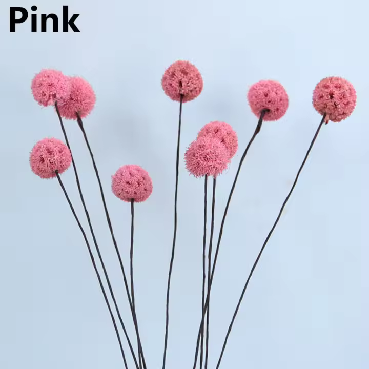 Flores secas coloridas para decoración del hogar, accesorios de tiro, tallos de plantas de Material Natural, ramos de flores reales, 5 piezas - 1