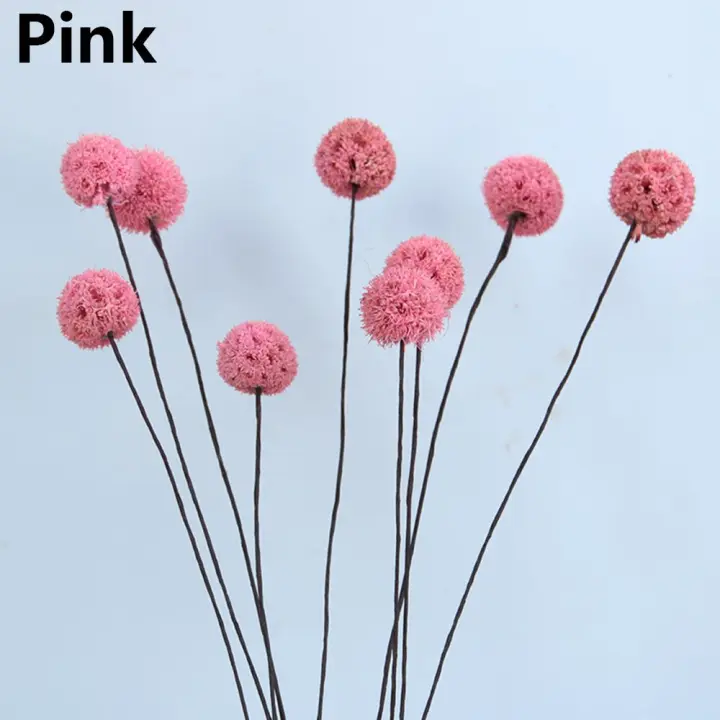 Flores secas coloridas para decoración del hogar, accesorios de tiro, tallos de plantas de Material Natural, ramos de flores reales, 5 piezas - 1