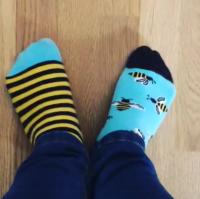 Calcetines divertidos diseño único de animales y frutas Calcetines estilo hip hop para hombres y mujeres - details 2