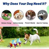Divertido platillo volador de felpa de arcoíris, juguetes para perros, juegos de entrenamiento interactivos al aire libre, juguete para masticar, mascotas, discos voladores, juguetes, accesorios para perros - details 0