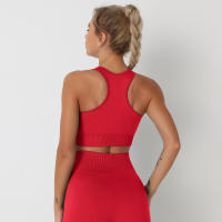 Nessaj-Sujetador deportivo sin costuras para mujer, Top corto de color sólido para yoga, ropa activa para gimnasio, chaleco deportivo - details 4