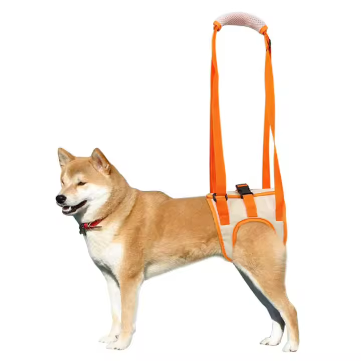 Arnés de Elevación Portátil para Perros con Patas Traseras Débiles - 1