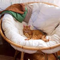 Cojín de Sofá Relajante para Jardín y Interior Estilo Columpio Colgante Muebles de Madera Rattan Adorno para Silla sin Silla 1 Pieza - details 1