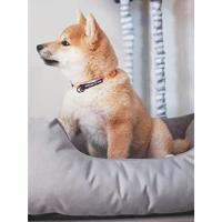 BedDog Zara - Cama para Perro con Funda Extraíble y Lavable, Sofá para Perros Mediano XL - details 9