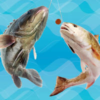 Botellas de señuelo de pesca de dispersión lenta, cebo de partículas potentes para estanque de peces marinos y de agua dulce - details 4