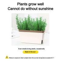 Planta de riego automático floral moderna y elegante rectangular de doble capa para interiores ETA, hidropónica ETA - details 8